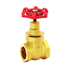 1108 Brass Gate Valve